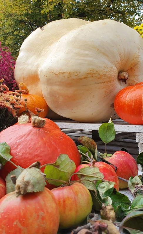 Herbst 30.09.2026 